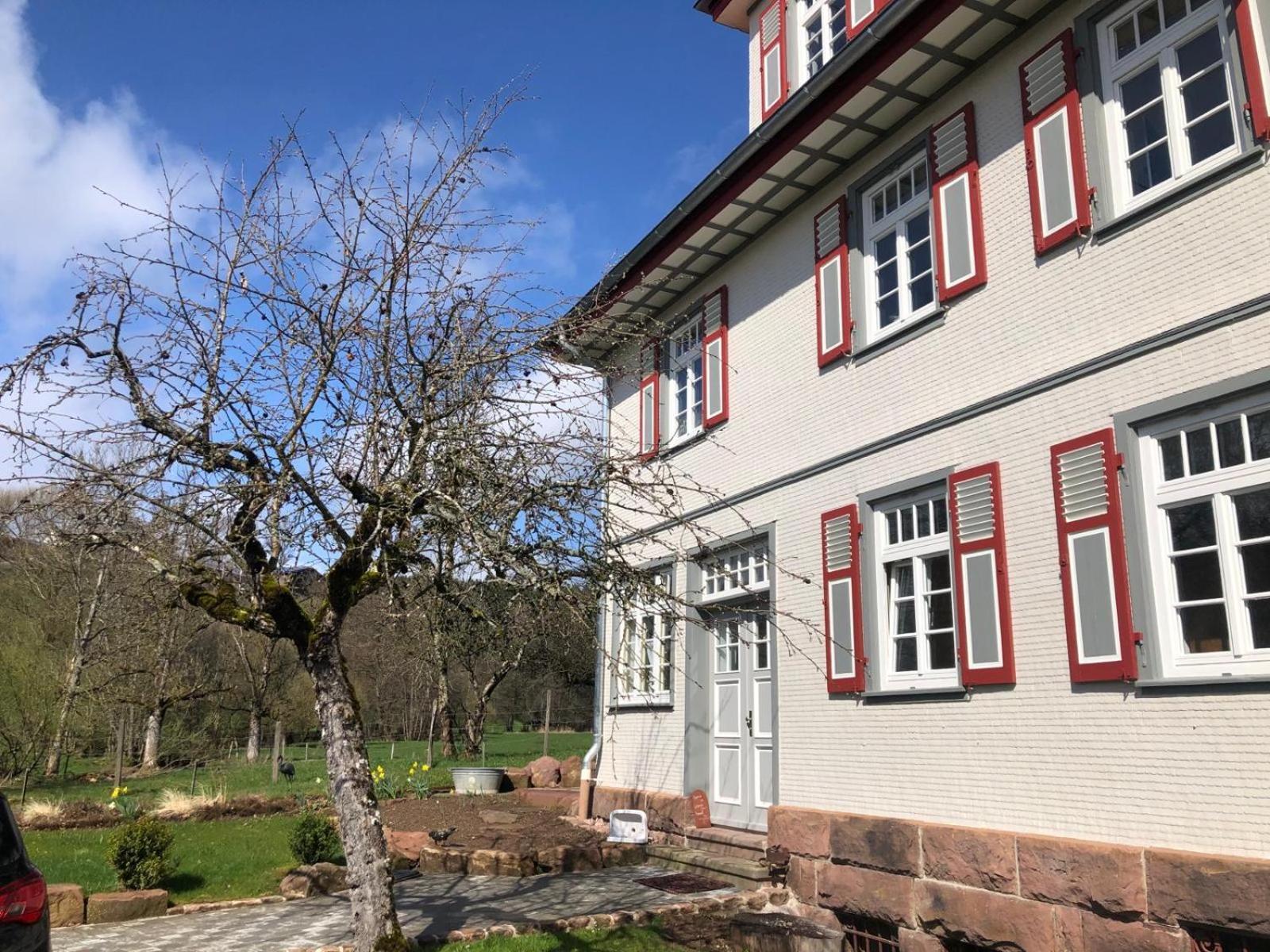 Ferienwohnung Am Stockerbach Фройденштадт Екстер'єр фото